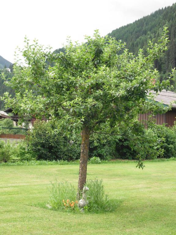 Apartament Haus Christophorus Bad Gastein Zewnętrze zdjęcie